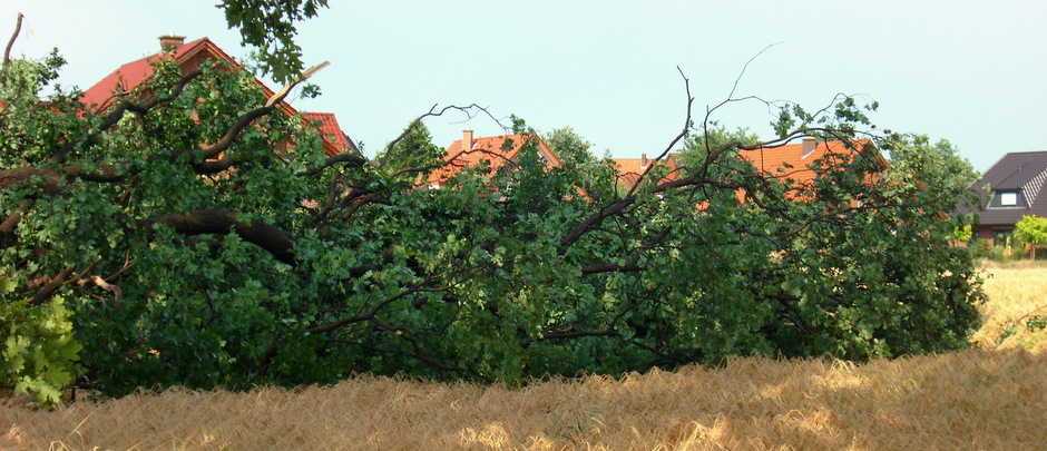 Read more about the article Unwetter über Wallenhorst