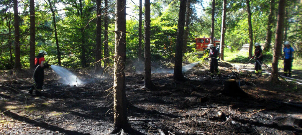 Waldbrand am Erftenbecksweg