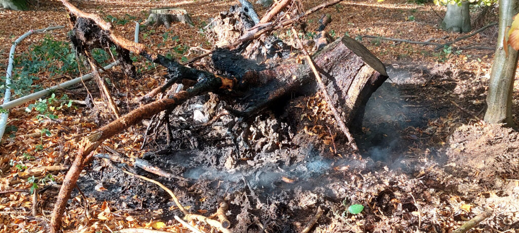 Brand im Waldstück