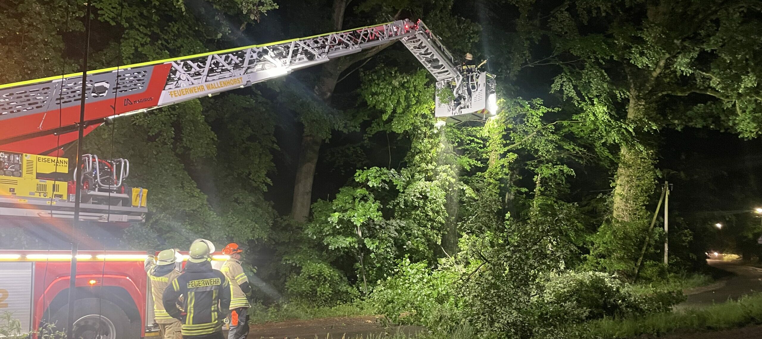 Mehr über den Artikel erfahren Baum und Ast auf der Sachsenstraße