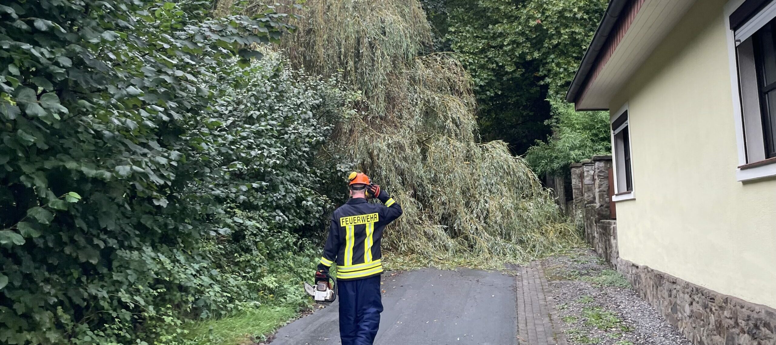 Mehr über den Artikel erfahren Baum am Quellengrund umgestürzt