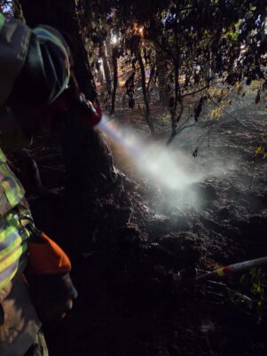 F GSL – Fachzug 2 unterstützt bei Flächenbrand in Bohmte