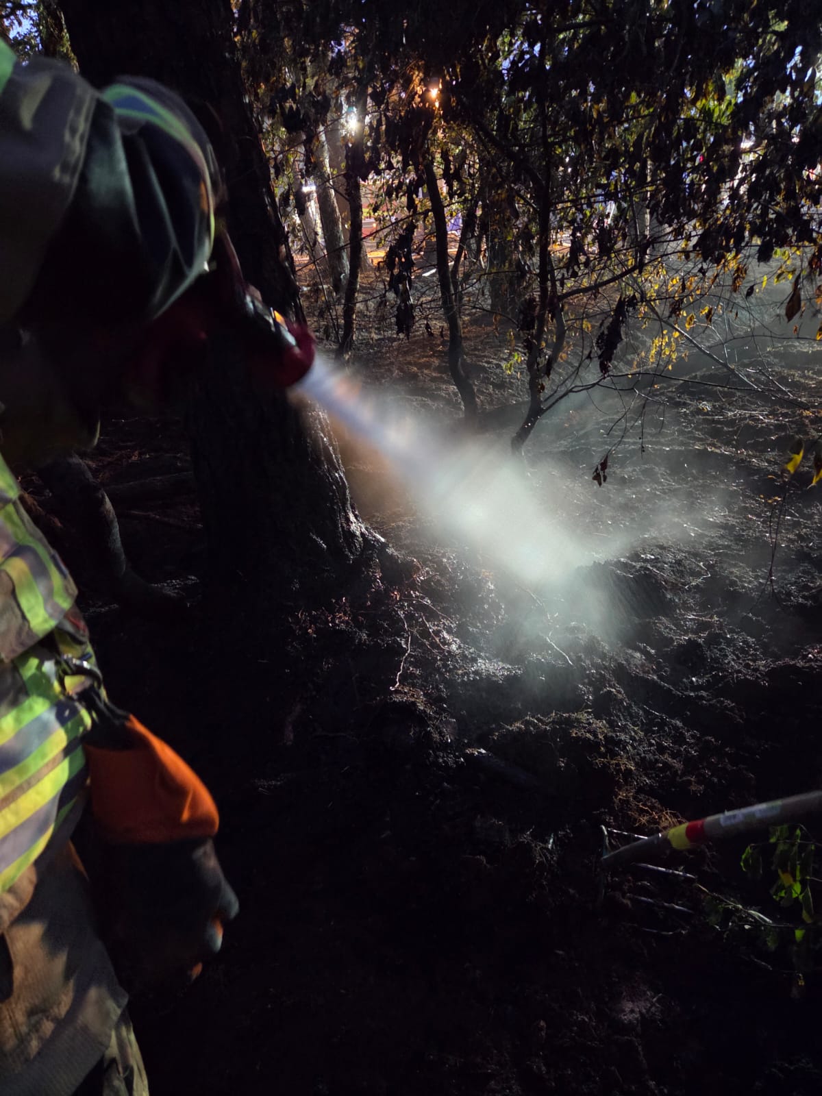 Mehr über den Artikel erfahren F GSL – Fachzug 2 unterstützt bei Flächenbrand in Bohmte